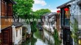 8月适合去国内那些地方旅游？七八月份适合去国内旅游的地方有哪些？