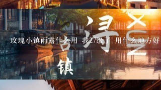 玫瑰小镇雨露什么用 我27级了 用什么地方好 是变出来的