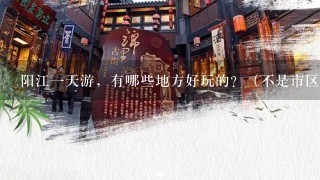 阳江一天游，有哪些地方好玩的？（不是市区里面地方）