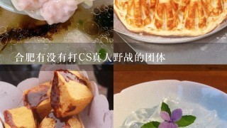 合肥有没有打CS真人野战的团体