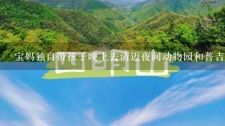 宝妈独自带孩子晚上去清迈夜间动物园和普吉岛幻奇多安全吗？