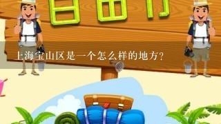 上海宝山区是一个怎么样的地方?