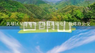 黄埔区星荟购物广场到黄埔电厂做哪路公交