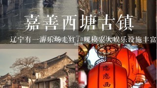 辽宁有一游乐场走红，规模宏大娱乐设施丰富，这是什