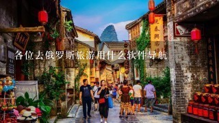 各位去俄罗斯旅游用什么软件导航