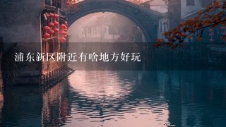 浦东新区附近有啥地方好玩