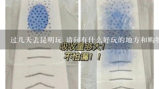 过几天去昆明玩 请问有什么好玩的地方和购物的地方吗