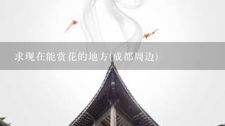 求现在能赏花的地方(成都周边)