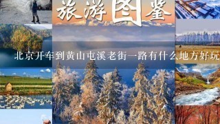 北京开车到黄山屯溪老街一路有什么地方好玩沿途有温泉吗？