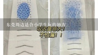 东莞周边适合小学生玩的地方