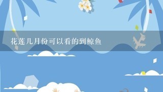 花莲几月份可以看的到鲸鱼