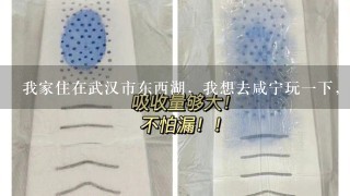 我家住在武汉市东西湖，我想去咸宁玩1下，因为要上班，只有1天的时间，怎么安排