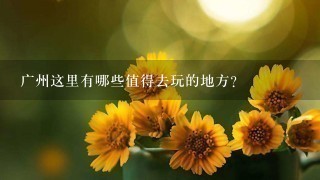 广州这里有哪些值得去玩的地方？