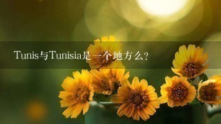 Tunis与Tunisia是1个地方么？