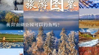 衡阳南湖公园可以钓鱼吗?