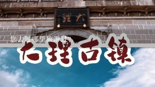 您去过哪里旅游过？