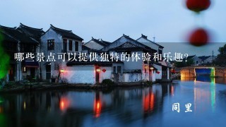 哪些景点可以提供独特的体验和乐趣？