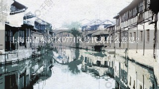 上海市浦东新区0771区号代表什么意思