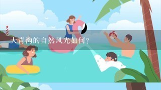 大青沟的自然风光如何?